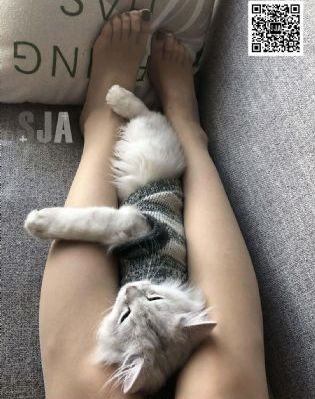 后宫野营