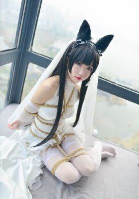 《宸汐缘》免费观看